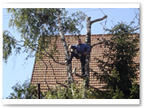 Baumfaellung_04
