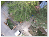 Baumfaellung_13