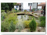 Gartenteich_01