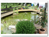 Gartenteich_02
