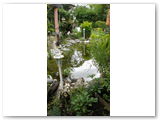 Gartenteich_04