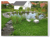 Gartenteich_06