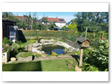 Gartenteich_08