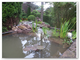 Gartenteich_10